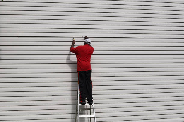 Best Aluminum Siding Installation  in Moriarty, NM